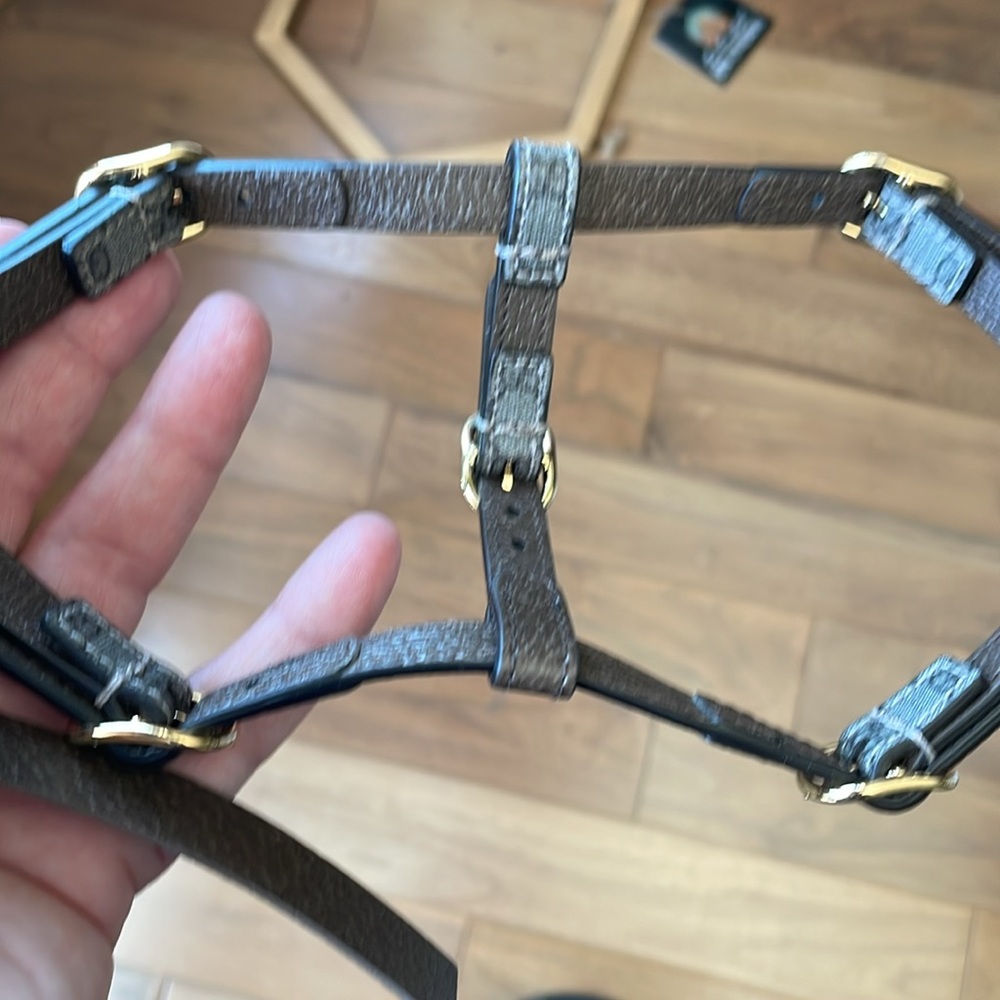 Nwot Gucci ex small pet harness